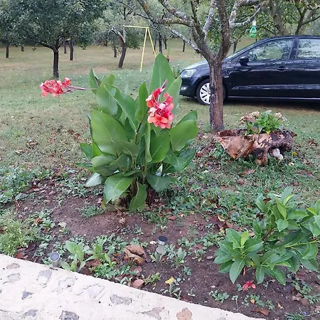 Secluded Srb, Zagora - 22245 Srb