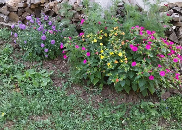Apartmán Secluded Srb, Zagora - 22245
