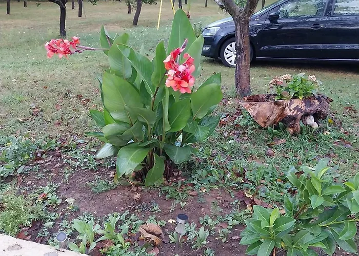 Secluded Srb, Zagora - 22245 Srb