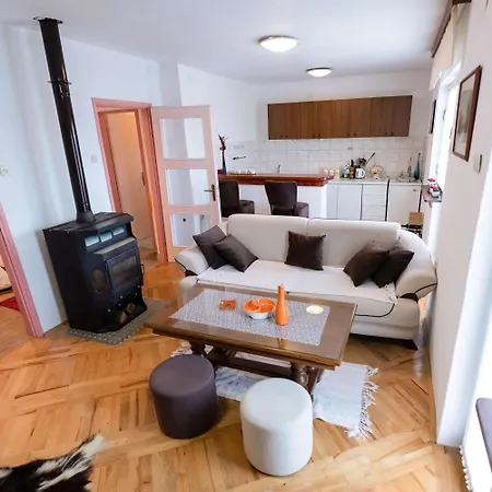 Apartman Secluded Srb, Zagora - 22245