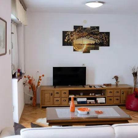 Apartman Secluded Srb, Zagora - 22245 *